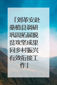 刘革安赴桑植县调研巩固拓展脱贫攻坚成果同乡村振兴有效衔接工作