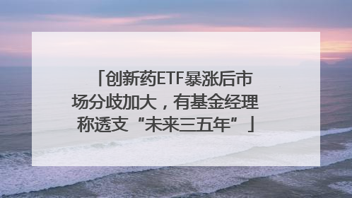 创新药ETF暴涨后市场分歧加大，有基金经理称透支“未来三五年”
