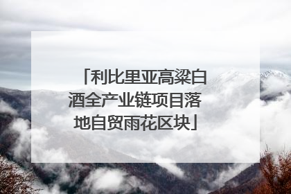 利比里亚高粱白酒全产业链项目落地自贸雨花区块