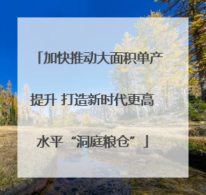 加快推动大面积单产提升 打造新时代更高水平“洞庭粮仓”