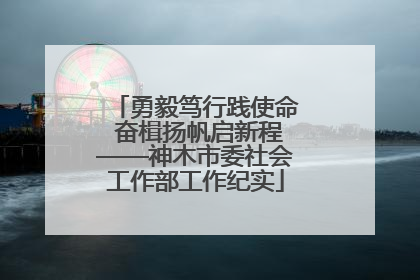 勇毅笃行践使命 奋楫扬帆启新程——神木市委社会工作部工作纪实