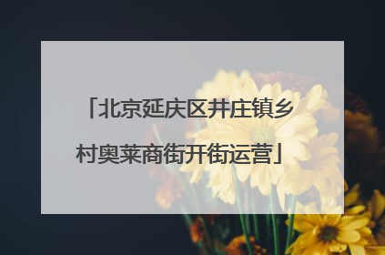 北京延庆区井庄镇乡村奥莱商街开街运营