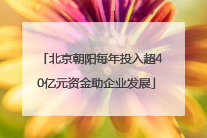 北京朝阳每年投入超40亿元资金助企业发展