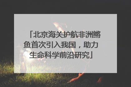 北京海关护航非洲鳉鱼首次引入我国，助力生命科学前沿研究