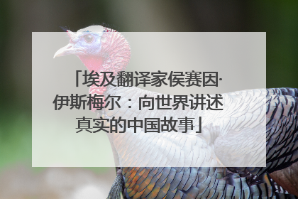 埃及翻译家侯赛因·伊斯梅尔：向世界讲述真实的中国故事