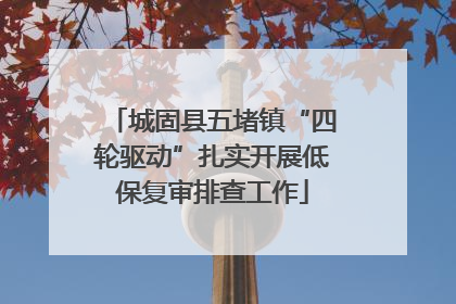 城固县五堵镇“四轮驱动”扎实开展低保复审排查工作