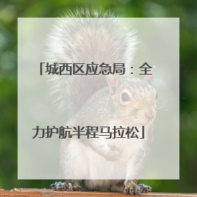 城西区应急局：全力护航半程马拉松
