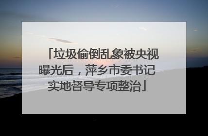 垃圾偷倒乱象被央视曝光后，萍乡市委书记实地督导专项整治