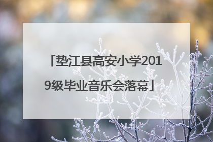 垫江县高安小学2019级毕业音乐会落幕