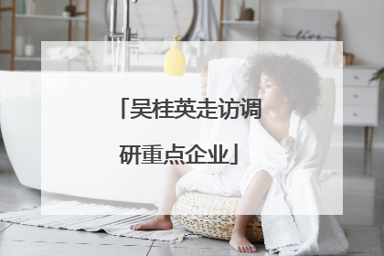 吴桂英走访调研重点企业
