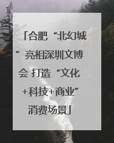合肥“北幻城”亮相深圳文博会 打造“文化+科技+商业”消费场景