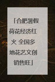 合肥暑假荷花经济红火 全国多地花艺文创销售旺