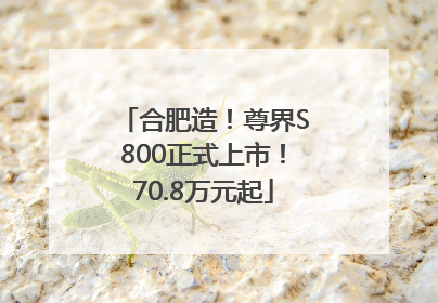 合肥造！尊界S800正式上市！70.8万元起