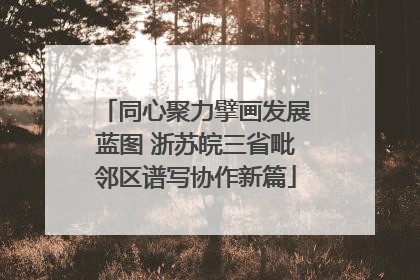 同心聚力擘画发展蓝图 浙苏皖三省毗邻区谱写协作新篇