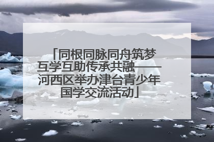 同根同脉同舟筑梦 互学互助传承共融——河西区举办津台青少年国学交流活动
