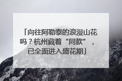 向往阿勒泰的浪漫山花吗？杭州藏着“同款”，已全面进入盛花期