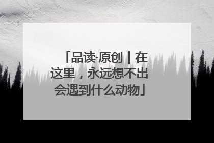 品读·原创｜在这里，永远想不出会遇到什么动物