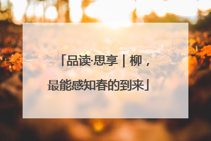 品读·思享｜柳，最能感知春的到来