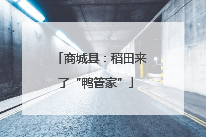 商城县：稻田来了“鸭管家”
