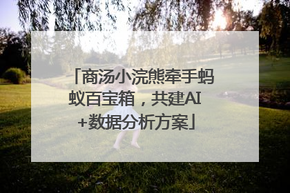 商汤小浣熊牵手蚂蚁百宝箱，共建AI+数据分析方案