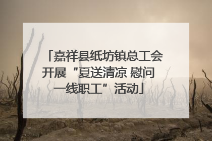 嘉祥县纸坊镇总工会开展“夏送清凉 慰问一线职工”活动