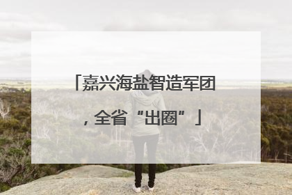 嘉兴海盐智造军团，全省“出圈”