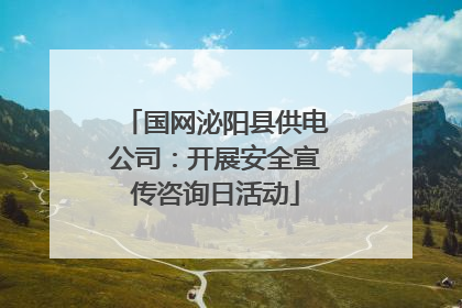 国网泌阳县供电公司：开展安全宣传咨询日活动