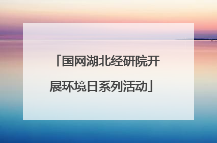 国网湖北经研院开展环境日系列活动