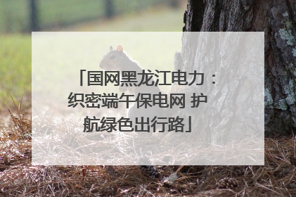 国网黑龙江电力：织密端午保电网 护航绿色出行路