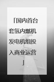 国内首台套氢内燃机发电机组投入商业运营