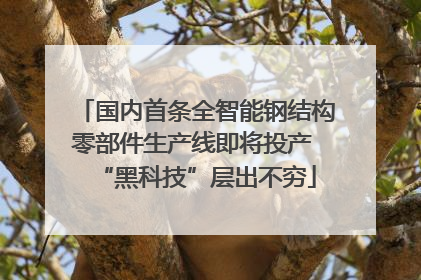 国内首条全智能钢结构零部件生产线即将投产 “黑科技”层出不穷