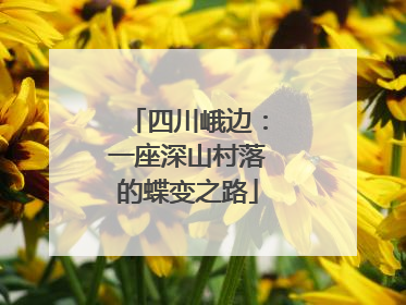 四川峨边：一座深山村落的蝶变之路