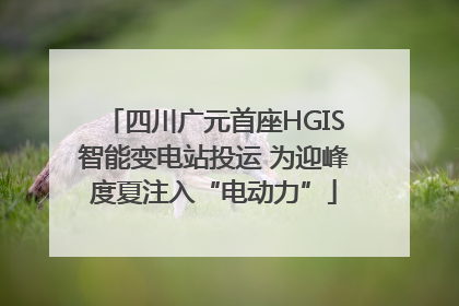 四川广元首座HGIS智能变电站投运 为迎峰度夏注入“电动力”