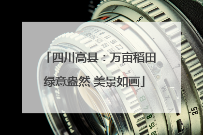 四川高县：万亩稻田绿意盎然 美景如画