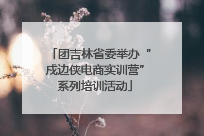 团吉林省委举办“戍边侠电商实训营”系列培训活动