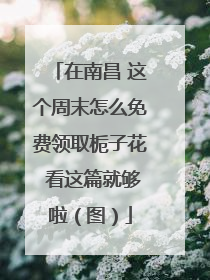在南昌 这个周末怎么免费领取栀子花 看这篇就够啦（图）