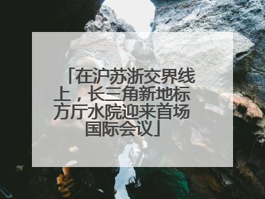 在沪苏浙交界线上，长三角新地标方厅水院迎来首场国际会议