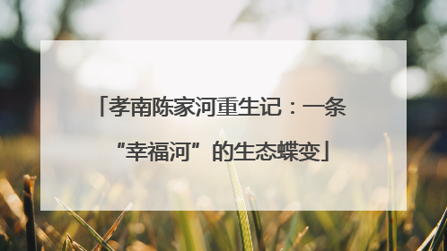 孝南陈家河重生记：一条“幸福河”的生态蝶变