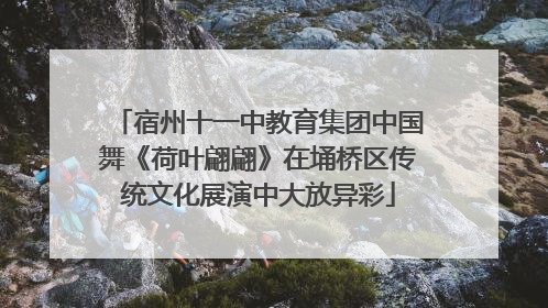 宿州十一中教育集团中国舞《荷叶翩翩》在埇桥区传统文化展演中大放异彩
