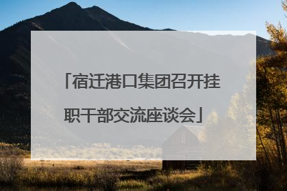 宿迁港口集团召开挂职干部交流座谈会