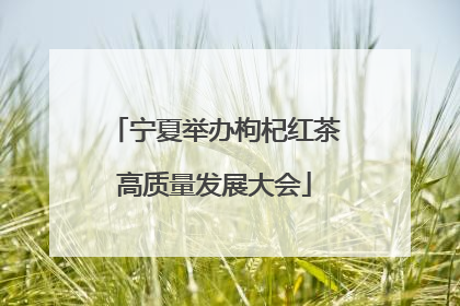 宁夏举办枸杞红茶高质量发展大会