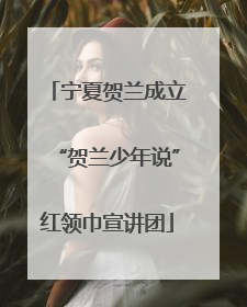 宁夏贺兰成立“贺兰少年说”红领巾宣讲团