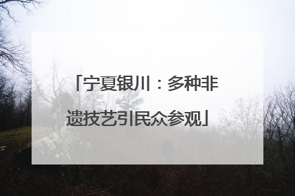 宁夏银川：多种非遗技艺引民众参观
