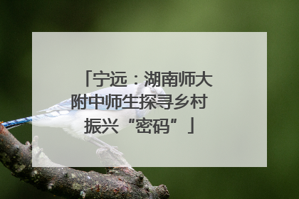 宁远：湖南师大附中师生探寻乡村振兴“密码”