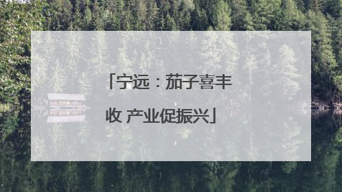 宁远：茄子喜丰收 产业促振兴