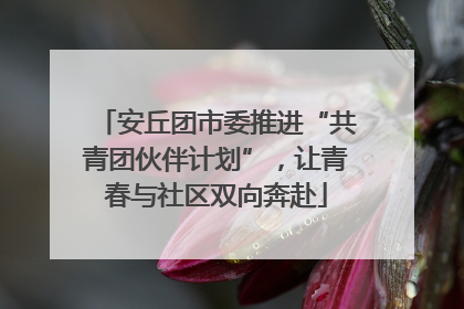 安丘团市委推进“共青团伙伴计划”，让青春与社区双向奔赴