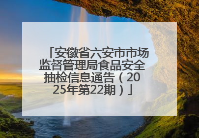 安徽省六安市市场监督管理局食品安全抽检信息通告（2025年第22期）