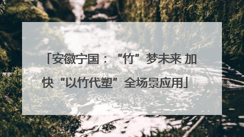 安徽宁国：“竹”梦未来 加快“以竹代塑”全场景应用