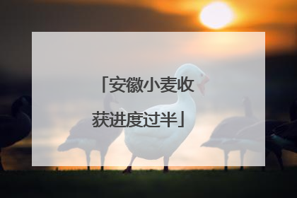 安徽小麦收获进度过半