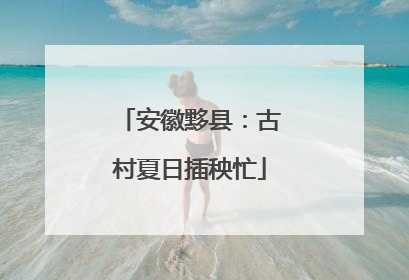 安徽黟县：古村夏日插秧忙